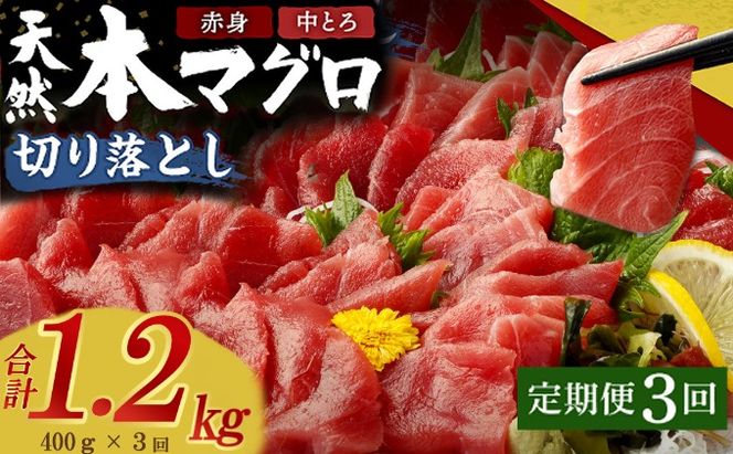 【定期便 / ３ヶ月連続】 天然本マグロ (赤身・中とろ) 切り落とし 合計1.2㎏  (100g×4パック×3回) マグロ 刺身 刺し身 魚 惣菜 海鮮丼 魚介類 食べきりサイズ 小分け 冷凍 訳あり 不揃い 傷 規格外 定期 連続 30000 室戸 mgr all tk072