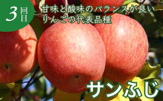 【3回定期便】小布施屋のりんご食べ比べ定期便 3回コース ［小布施屋］フルーツ 果物 りんご 林檎 定期便 信州産 長野県産 令和8年産 【2026年10月～2027年1月発送】 ［C-501］