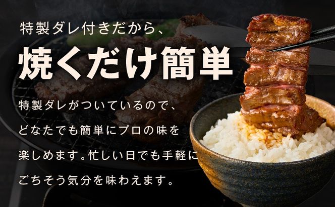 mrz0384 【お試し】赤身カルビ ステーキ 500g 焼肉用 500g×1P【氷温熟成×特製ダレ 牛肉 バラ 切り落とし 訳あり サイズ不揃い】