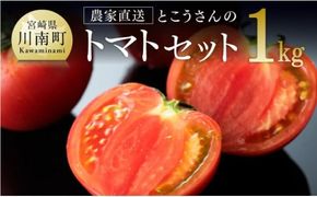 宮崎県産トマト　とこうさんのトマト1kg（9～18個） 【 宮崎県産 九州産 川南町産 トマト とまと 野菜 ヘルシー】 [C06601]