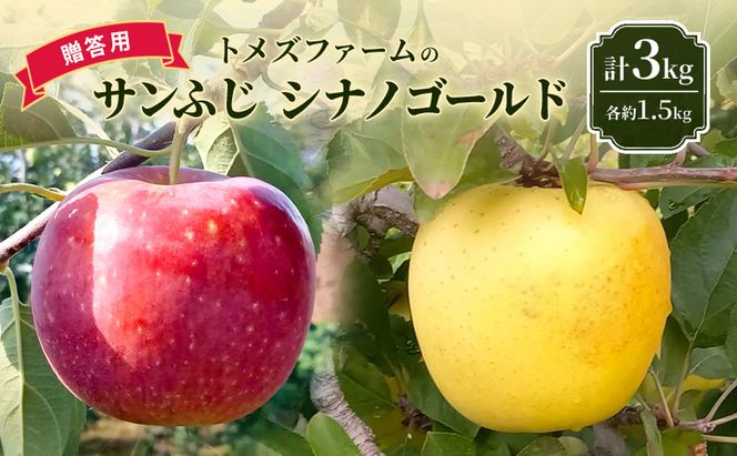 サンふじ・シナノゴールド詰合せ（贈答用） 各約1.5kg 計3kg　トメズファーム　りんご　長野　信州　小諸　果物　フルーツ　食べ比べ