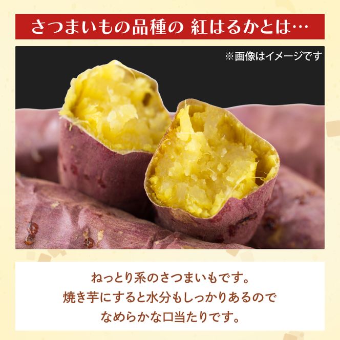 茨城県産 紅はるか 訳あり サイズミックス　約10kg｜訳あり わけあり 訳アリ さつまいも サツマイモ さつま芋 紅はるか べにはるか 芋 いも 茨城県産 行方市(FU-4)