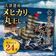 丸干し特大めひかり　24本（約650ｇ前後 ）【めひかり メヒカリ 特大 魚 海産物 茨城県 北茨城市 冷凍】（DM003）