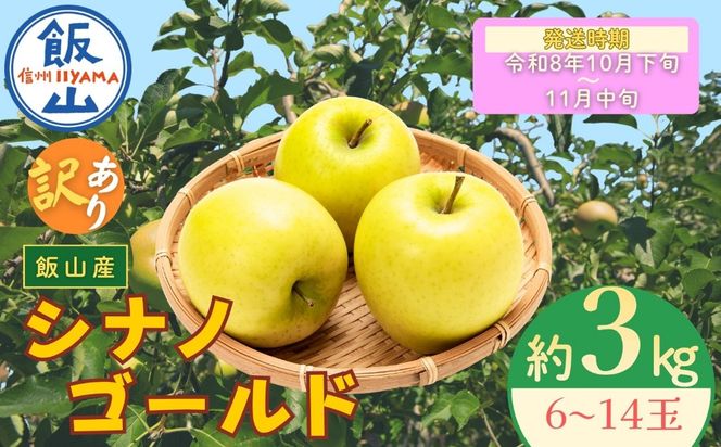 【先行予約丨2026年10月下旬より順次発送】訳あり シナノゴールド【約3kg(6〜14玉)】(At-023)