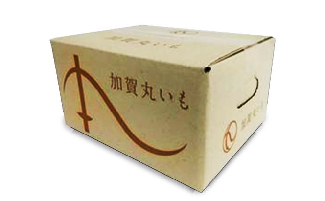 能美市産 加賀丸いも 2kg 野菜 芋 