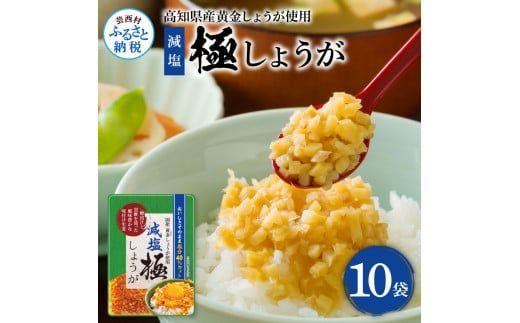 [CF-R7hbk]SNS007 減塩味付け極しょうが110g×10袋 - 減塩 しょうが ショウガ 生姜 生ふりかけ 坂田信夫商店 黄金しょうが 高知 国産 料理 おかず 調味料 ご飯のお供 混ぜご飯 刻み生姜 健康 話題
