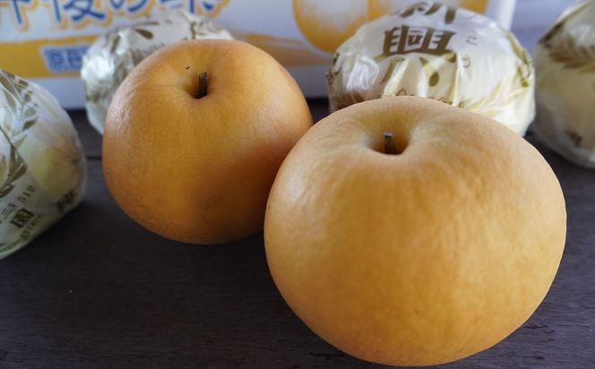 梨　新興梨　約5kg（9～14玉入り）　国産 期間限定 デザート 甘い ジューシー ふるさと 納税 梨 なし ナシ 5kg  先行予約 ふるさと 納税 フルーツ くだもの 　TO00134