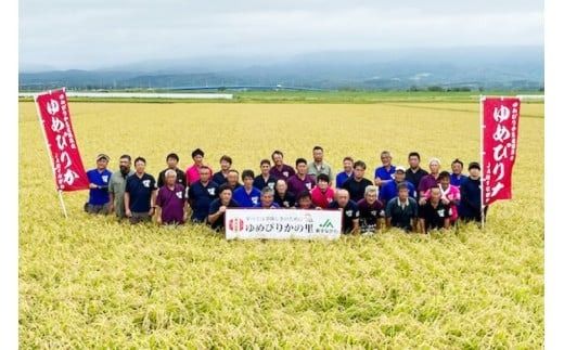 【先行予約】 米 令和8年 ゆめぴりか 玄米 30kg [JA新すながわ 北海道 砂川市 12260853] 令和8年産 お米 農協