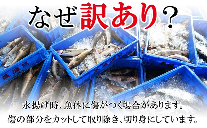 訳あり 北海道 冷凍鮮魚切り身3種セット 約2.5kg 鮭 サクラマス ほっけ さば おまかせ