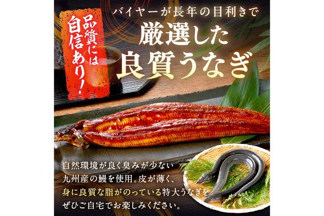 【7月24～26日配送】超特大！極上！国産うなぎ蒲焼 1尾 250g前後 ふるさと納税 鰻 九州産 国産 ウナギ 有頭 蒲焼き うな丼 うな重 うなぎ 国産　YK00400_01