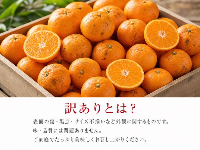 和歌山有田みかん10kg【訳ありご家庭用】2S〜2Lサイズ混合【11月下旬～12月下旬頃発送予定】【uot871】