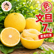 先行予約 訳あり 文旦 7kg （Mサイズ以上 サイズミックス） 7000円 ぶんたん みかん mikan 蜜柑 ミカン 家庭用 産地直送 国産 農家直送 減農薬 糖度 期間限定 数量限定 特産品 ゼリー ジュース アイス 人気 限定 甘い 果実 果肉 フルーツ 果物 柑橘 先行 事前 予約 受付 ビタミン 健康 美味しい おいしい ジューシー サイズ ミックス あいなんマザーズ 愛南町 愛媛県