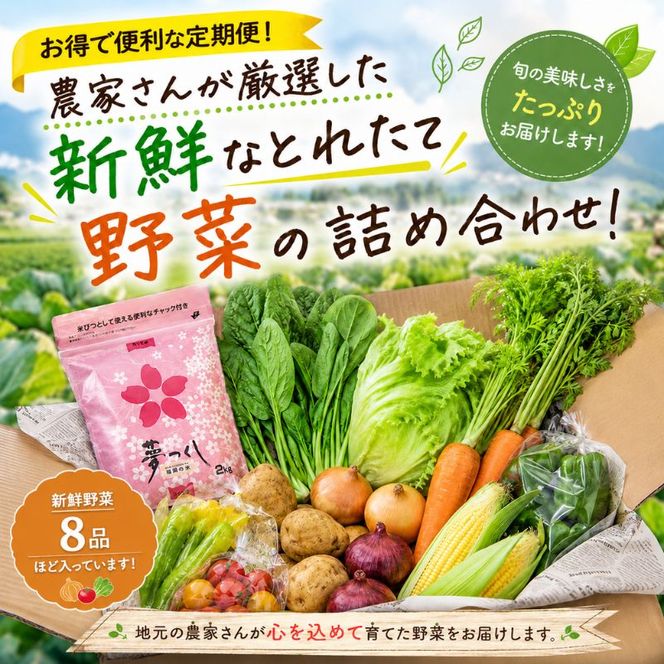 【定期便 年6回】おいしかぁ～便 詰め合わせセット 6ヶ月 お楽しみ ファミリーセット 家族用 野菜 やさい 米 新鮮 新鮮野菜 家庭用 新鮮 福岡県 大刀洗町