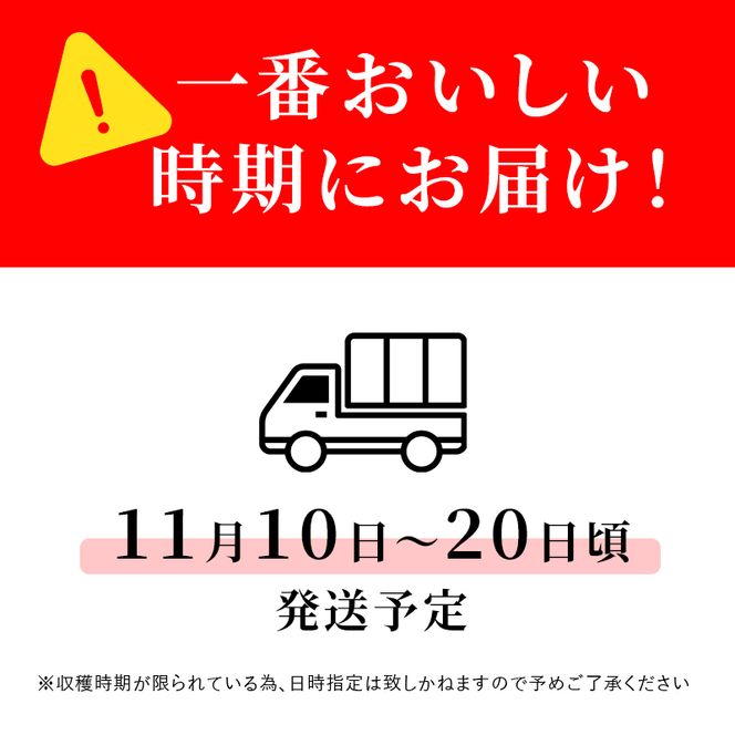 【2026年発送】志賀高原の麓で育った ぐんま名月 秀18玉 約5kg りんご 5kg フルーツ 果物 デザート 長野