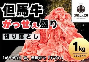 【ふるさと納税】但馬牛 がっせぇ盛り（切落し・1kg）250g×4パック 小分け 肉 牛肉 お肉 赤身 バラ バラ肉 ばら 国産 黒毛和牛 和牛 切落し 切り落とし お取り寄せ 冷凍 兵庫県 新温泉町 送料無料