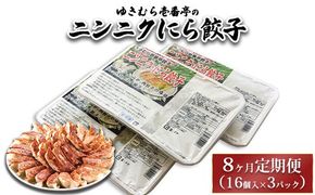 【8ヶ月定期便】ゆきむら壱番亭のニンニクにら餃子3パック(48個入り) ※離島への配送不可