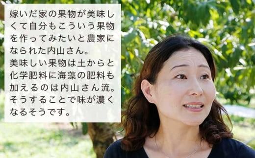 ナガノパープル 約1.5kg 2～3房 [おぶせファーマーズ] 果物 フルーツ ぶどう 葡萄 冷蔵便 クール便 長野県産 信州産 令和7年産 【2025年9月中旬〜10月上旬発送】 ［FB-22］