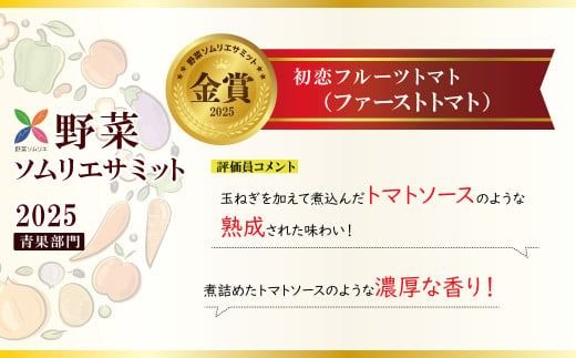 【お試し】 たった3ヶ月しか食べられない 幻 フルーツ トマト ファーストトマト 容量 約700g 特に美味しい 3月 ～ 5月 限定発送 長田農園 完全木熟栽培 果皮 薄い もっちり食感 甘い リコピン 野菜 碧南市 送料無料 H004-225