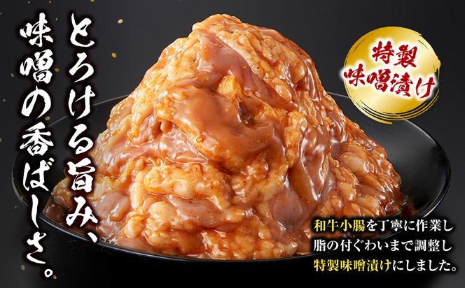＜訳アリ＞和牛トロホルモン　特製味噌漬け　0.9kg(300g×3）【12月発送】 【kw0096-0045-12】