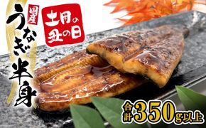 【国産うなぎ】 ハーフカット 6パック(3尾分/合計350g以上) タレ 山椒付 食べきり 人気 鰻楽 半身 新登場 手軽 便利 K2669
