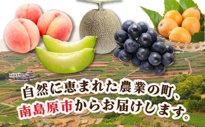 【12回定期便】季節の果物 詰め合わせ フルーツセット 旬の果物をお任せで2〜3品目お届け (2〜3品目×12回) / 果物 セット 南島原市 / 吉岡青果 [SCZ014]