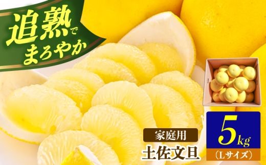 【先行予約】土佐文旦の創始 宮地文旦園の土佐文旦　小玉（L)約5キロ〈2027年3月上旬～4月下旬〉くだもの 柑橘類 デザート ギフト 贈り物【宮地文旦園】 [BQBP010]