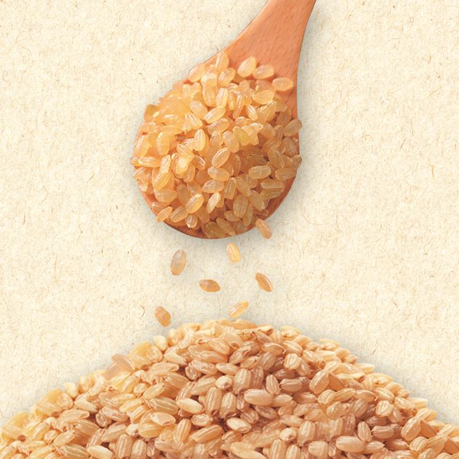 令和7年産 早炊 玄米  きぬむすめ 2kg×3袋 岡山県産　お米 国内産 ご飯 おにぎり お弁当 和食 国産 産地直送 玄米食 玄米の栄養素 