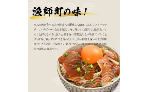 活き締めブリの醤油漬け丼 10パックセット 鰤 ぶり 漬け丼 漬け 丼 素 海鮮 醤油漬け 小分けパック まとめ買い お茶漬け 一人暮らし お取り寄せグルメ 海鮮丼【企業組合　宇佐もん工房】 [BQAB062]