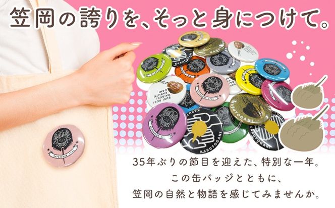 オリジナルカブトガニデザイン缶バッジ 4個セット 笠岡市観光協会《30日以内に出荷予定(土日祝除く)》岡山県 笠岡市 缶バッジ バッジ カブトガニ イラスト 記念缶バッジ 4個 (3種固定 1種カラーランダム)---K-70---