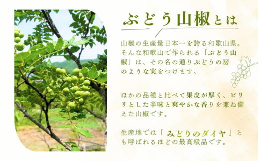 冷凍 ぶどう 生実山椒 500g / 山椒 さんしょう 香辛料 調味料 薬味 冷凍 ぶどう山椒 生山椒 和歌山県 紀美野町 生実山椒【twn006B】