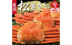 松葉がに タグ付き（茹で）中サイズ 1枚 312011_FT015