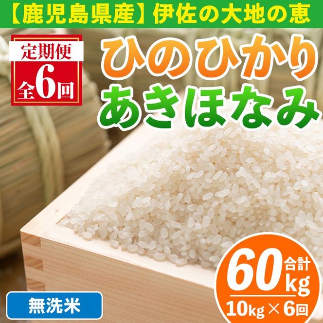 isa518-B 【定期便6回】 ＜無洗米＞令和7年産 鹿児島県伊佐南浦産 ひのひかり5kg・あきほなみ5kg (合計60kg・計10kg×6ヵ月) 国産 白米 精米 無洗米 伊佐米 お米 米 生産者 ひのひかり あきほなみ 定期便 【Farm-K】