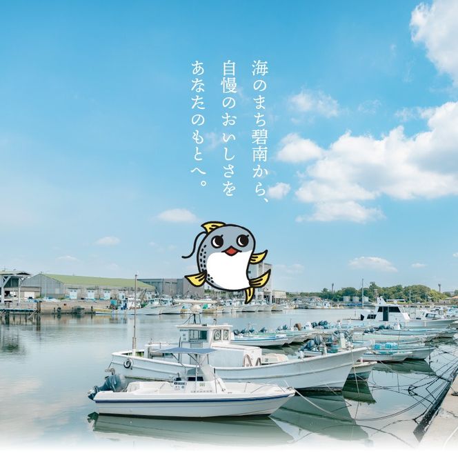 【6ヵ月定期便】金の〆さば「〆さば界の金メダルを目指して」　H021-100