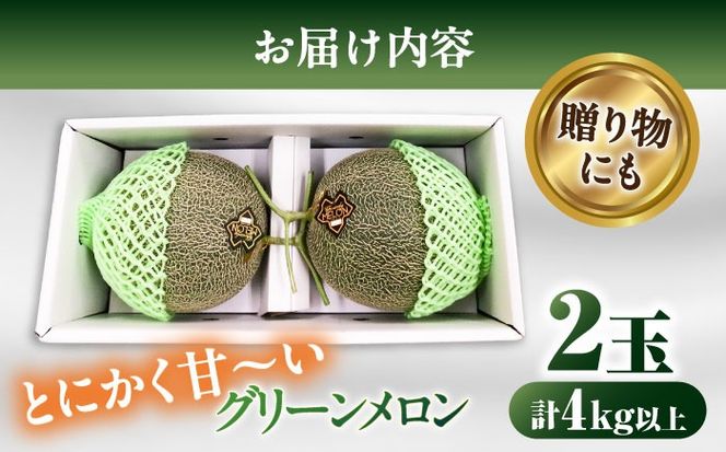 【2026年7月上旬〜発送】【平成新山メロンPREMIUM（とみちゃん厳選）】グリーンメロン 2玉 / メロン めろん 果物 フルーツ / 南島原市 / うえだメロン園 [SAD003] 