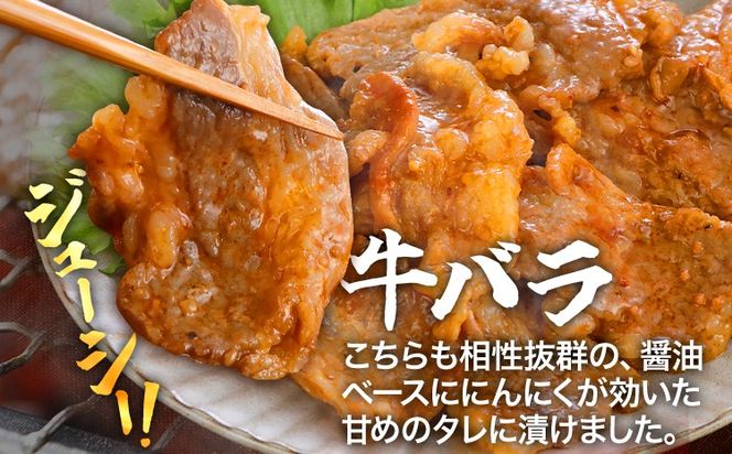 牛豚味付け焼肉セット 1.2kg 牛ハラミ 牛バラ 豚バラ 味付き 小分け 保存 醤油 にんにく タレ 子供 生姜 香味野菜 ネギ塩 キャンプ バーベキュー 福岡県 福岡 九州 グルメ お取り寄せ