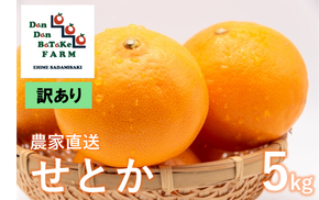 【先行予約】【訳あり】せとか 約5kg | 柑橘 みかん 果物 フルーツ 愛媛県産 農家直送 　※離島への配送不可　※2025年3月上旬より順次発送予定