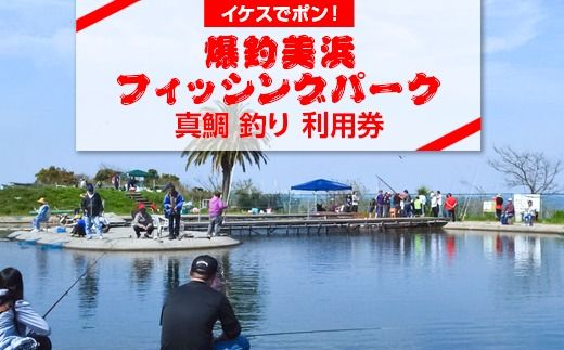 【イケスでポン！】爆釣 美浜フィッシングパーク 真鯛 釣り 体験 チケット ｜ 海釣り 釣り堀 釣堀 旅行 アクティビティ アウトドア スポーツ ギフト券 券 体験チケット 釣り竿 釣竿 竿 釣り餌 レンタル 釣 愛知県 美浜町 知多半島