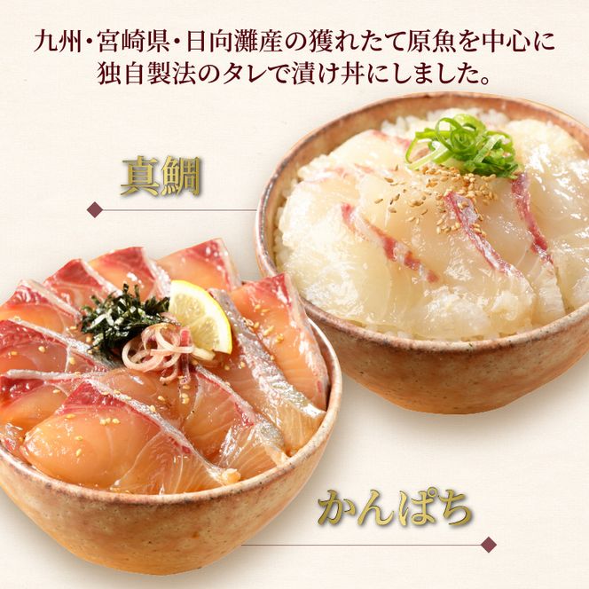 【冷凍】活〆日向灘真鯛とかんぱちの漬け丼2種食べ比べセット110g×8袋 N019-YB436