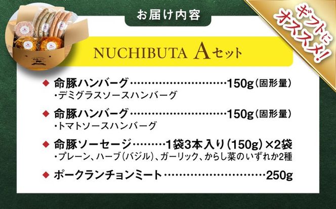 『NUCHIBUTA Aセット』 豚肉 ハンバーグ ソーセージ 詰め合わせ お取り寄せ 国産 ギフト 冷凍 沖縄市 / DELICATESSEN NUCHIBUTA [BCAR003]
