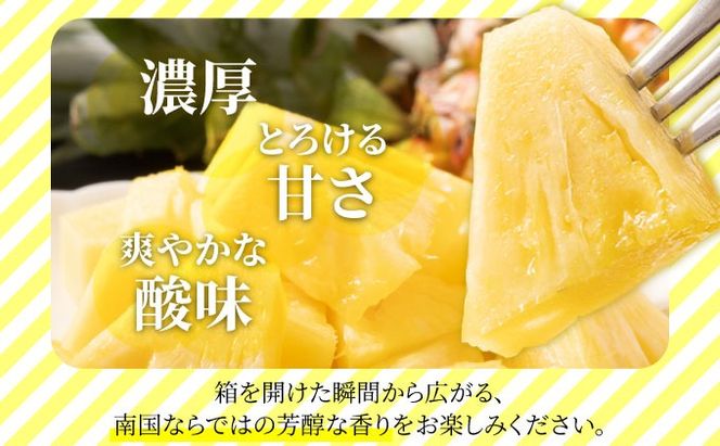 訳あり 石垣さんちのおすすめパイン詰め合わせ 8～10玉 (約5kg)《2026年4中旬から順次発送》 TP-21
