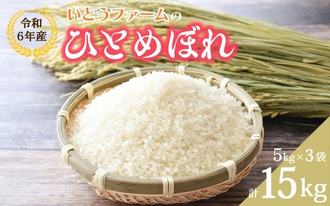 いとうファームの 令和6年産「ひとめぼれ」15kg（5kg×3袋） / 米 お米 精米 白米 ご飯 産地直送