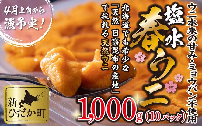 ＜ 2026年4月上旬より発送 ＞ うに 北海道 1,000g （ 100g × 10パック ） 使用するのは塩水のみ 日高沖産 塩水 生雲丹 春ウニ エゾバフンウニ ＜ 予約受付 ＞
