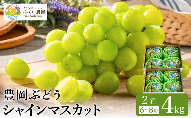 �y���Ɍ��L���s�z�L���Ԃǂ� �V���C���}�X�J�b�g �Q��  ��4kg / �L���u�h�E �Y�n���� ���x������ �Z�� �Ö� ��i�ȍ��� ���؂�̗ǂ� �炲�� �H�ׂ��� ���_�� �V���C�� �}�X�J�b�g �Ԃǂ� �u�h�E ���� �ʕ� �������� �t���[�c �ӂ����_��