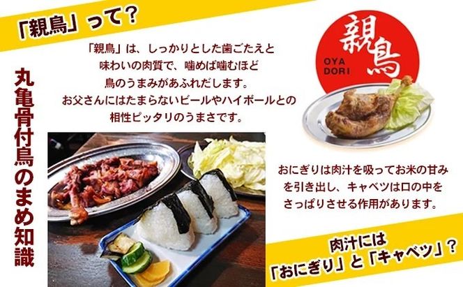 骨付鳥 おやわか 親鳥 5本 丸亀名物 骨付き鳥 骨付き鶏 骨付鶏 国産 鶏肉 鶏もも 鶏モモ もも肉 モモ肉 親鶏 焼鳥 焼き鳥 冷蔵 肉 鳥肉 とりにく スパイス ご当地 グルメ BBQ バーベキュー キャンプ アウトドア クリスマス 香川県 香川 丸亀 丸亀市