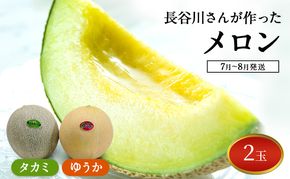 【先行予約2026年産】長谷川さんが作ったメロン2個（ゆうか・タカミ）　7月～8月発送　青森県鰺ヶ沢町産 2玉 果物類 フルーツ メロン青肉 