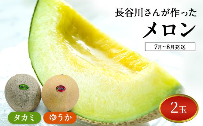 【先行予約2026年産】長谷川さんが作ったメロン2個（ゆうか・タカミ）　7月～8月発送　青森県鰺ヶ沢町産 2玉 果物類 フルーツ メロン青肉 