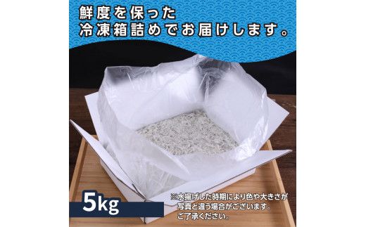 MMK008　上物釜揚げシラス1kg×5個 合計5kg しらす シラス 釜揚げ 新鮮 塩分控えめ 赤ちゃん 子供 離乳食 しらす丼 海鮮丼 お茶漬け ごはん 冷凍配送 大量 しらすピザ 海鮮
