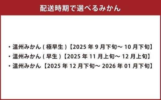 【先行受付】 特別栽培みかん 5kg サイズミックス 温州みかん みかん ミカン 蜜柑 フルーツ 柑橘 果物 果実 熊本県 上天草市【2025年12月下旬から2026年1月下旬発送開始】