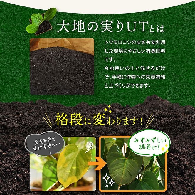 ニッコン オーガニック肥料 大地の実りUT 5kg 有機肥料 石灰入り H158-029