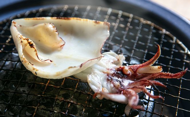 糸島玄界灘産 やりいか 1枚  糸島市 / 有限会社 糸島海産 / イカ / 肴[AMR010]